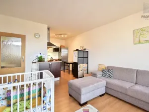 Pronájem bytu 2+kk, Brno, Bučkova, 49 m2