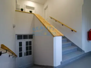 Pronájem rodinného domu, Ústí nad Labem - Neštěmice, Železná, 250 m2