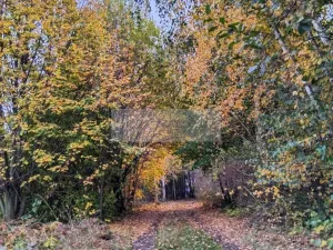 Prodej chaty, Čáslav, 45 m2