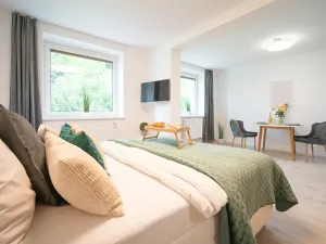 Pronájem bytu 1+kk, Jeseník, Na Mýtince, 36 m2