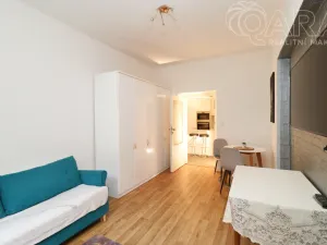 Pronájem bytu 2+1, Praha, Vrchlického, 50 m2