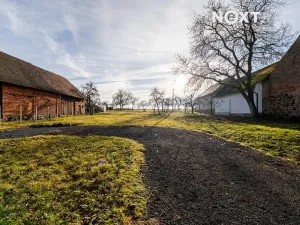 Prodej zahrady, Nové Mitrovice, 1882 m2