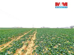 Prodej pozemku pro bydlení, Štěpánkovice, 5343 m2