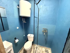 Prodej apartmánu, Líšnice, 300 m2