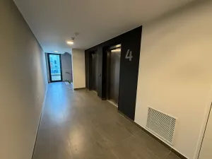 Pronájem bytu 1+kk, Praha - Žižkov, Tetauerova, 33 m2