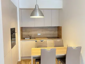 Pronájem bytu 2+kk, Praha - Vysočany, Bassova, 50 m2