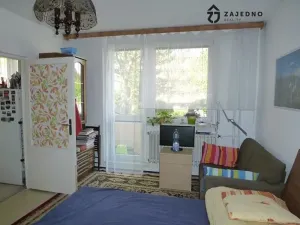 Pronájem bytu 1+1, Brno, Pod nemocnicí, 40 m2