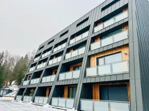Prodej bytu 1+kk, Janov nad Nisou, 31 m2