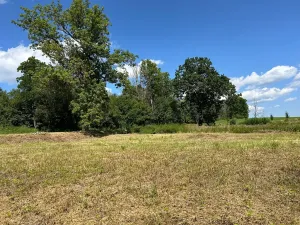 Prodej pozemku pro bydlení, Horní Planá, 1547 m2