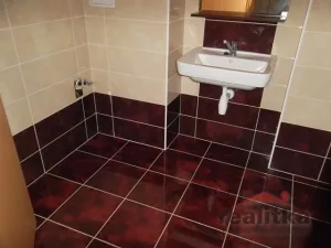 Pronájem bytu 2+kk, Opava - Předměstí, Pekařská, 64 m2