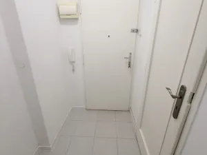 Pronájem bytu 1+kk, Praha - Žižkov, Baranova, 24 m2