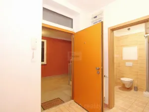 Pronájem bytu 1+kk, Praha - Kamýk, Mariánská, 31 m2