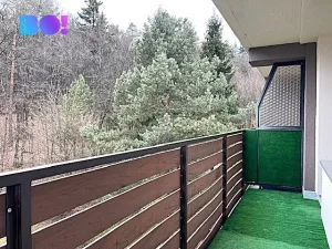 Pronájem bytu 2+1, Všemina, 42 m2