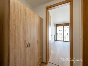 Pronájem bytu 1+kk, Praha - Modřany, Vrátnická, 38 m2