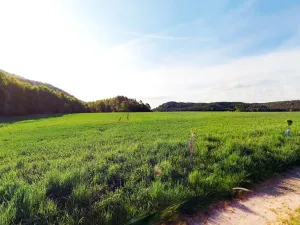 Prodej pole, Blíževedly, 28865 m2
