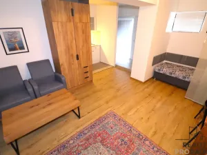 Pronájem bytu 1+kk, Brno - Řečkovice, Ladova, 28 m2