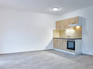 Pronájem bytu 1+kk, Plzeň, Železniční, 50 m2