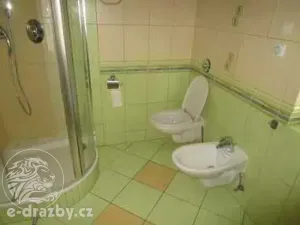 Dražba rodinného domu, Čestlice, Ke Hřišti, 436 m2