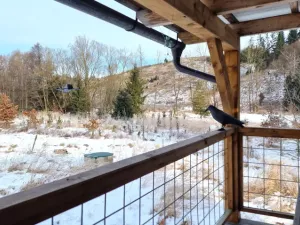 Prodej pozemku, Opatov, 12118 m2