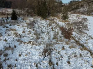 Prodej pozemku, Opatov, 12118 m2