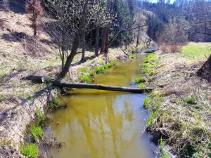 Prodej pozemku, Opatov, 12118 m2