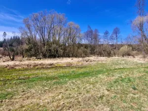 Prodej pozemku, Opatov, 12118 m2