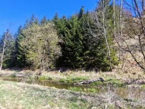 Prodej pozemku, Opatov, 12118 m2
