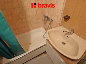 Pronájem bytu 1+1, Brno - Veveří, Antonínská, 53 m2