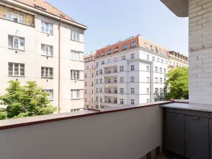 Prodej bytu 2+kk, Praha - Žižkov, Biskupcova, 64 m2