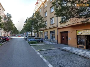 Pronájem bytu 2+kk, Praha - Bubeneč, Eliášova, 55 m2