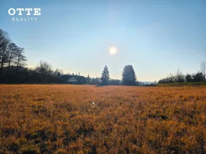 Prodej louky, Plzeň - Malesice, 106411 m2