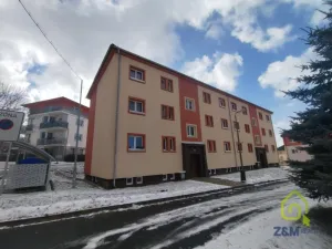 Prodej bytu 2+1, Březová, Hlavní, 55 m2