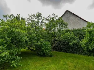 Prodej zemědělské usedlosti, Nová Sídla, 327 m2