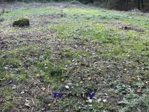 Prodej zahrady, Struhařov, V Zahradách, 397 m2