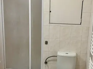 Pronájem bytu 1+kk, Brno, Trýbova, 36 m2