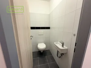 Pronájem bytu 1+1, Sokolov, Křížová, 61 m2