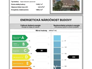 Prodej bytu 4+1, Brno, Příkop, 181 m2