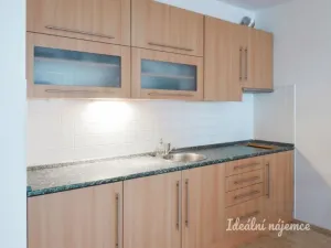 Pronájem bytu 1+kk, Brno - Staré Brno, Trýbova, 34 m2