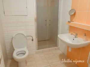 Pronájem bytu 1+kk, Brno - Staré Brno, Trýbova, 34 m2