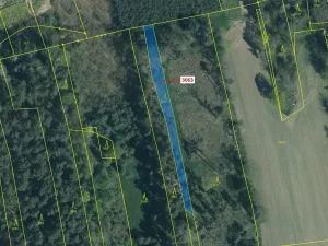 Dražba lesa, Koloveč, 703 m2