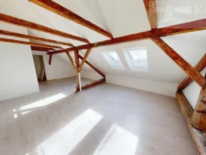 Prodej bytu 1+kk, České Budějovice, Rudolfovská tř., 41 m2