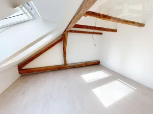 Prodej bytu 1+kk, České Budějovice, Rudolfovská tř., 41 m2