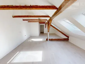 Prodej bytu 1+kk, České Budějovice, Rudolfovská tř., 41 m2