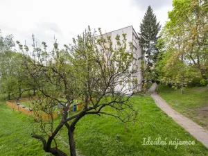 Pronájem bytu 2+kk, Praha - Michle, V zápolí, 39 m2