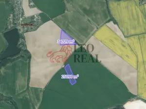 Prodej pole, Vstiš, 76424 m2