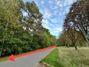 Prodej komerčního pozemku, Luštěnice, 9368 m2