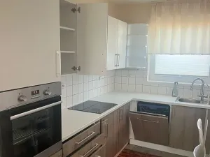 Pronájem rodinného domu, Plzeň, Konopná, 100 m2