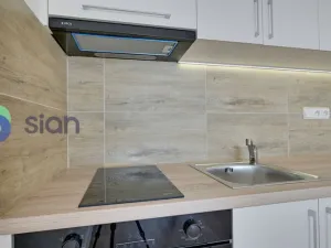 Pronájem bytu 1+kk, Ostrava - Moravská Ostrava, Sládkova, 29 m2