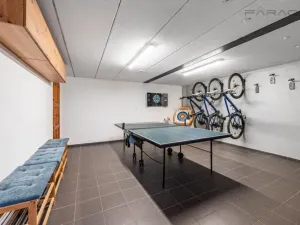Prodej obchodního prostoru, Borotín - Kamenná Lhota, 194 m2