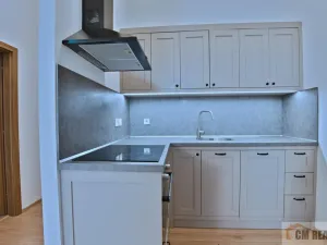 Pronájem bytu 1+kk, Olomouc - Hodolany, Holická, 42 m2